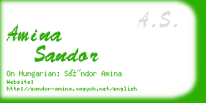 amina sandor business card